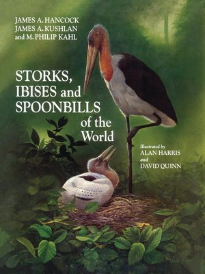 cover image of Storks, Ibises and Spoonbills of the World
